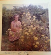 nanny and roses