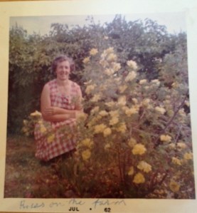 nanny and roses