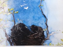 shea_allan@hotmail.com